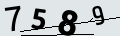 verifycode